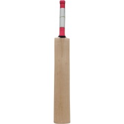Three Wickets RG-Warner Kashmir Willow Cricket Bat (SH)